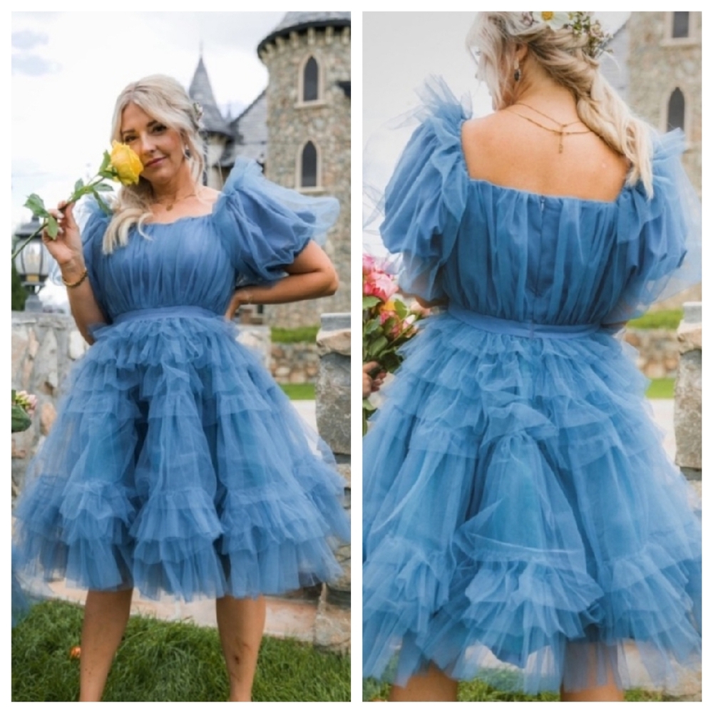 NWT Ivy City Co Pixie Tulle Dress